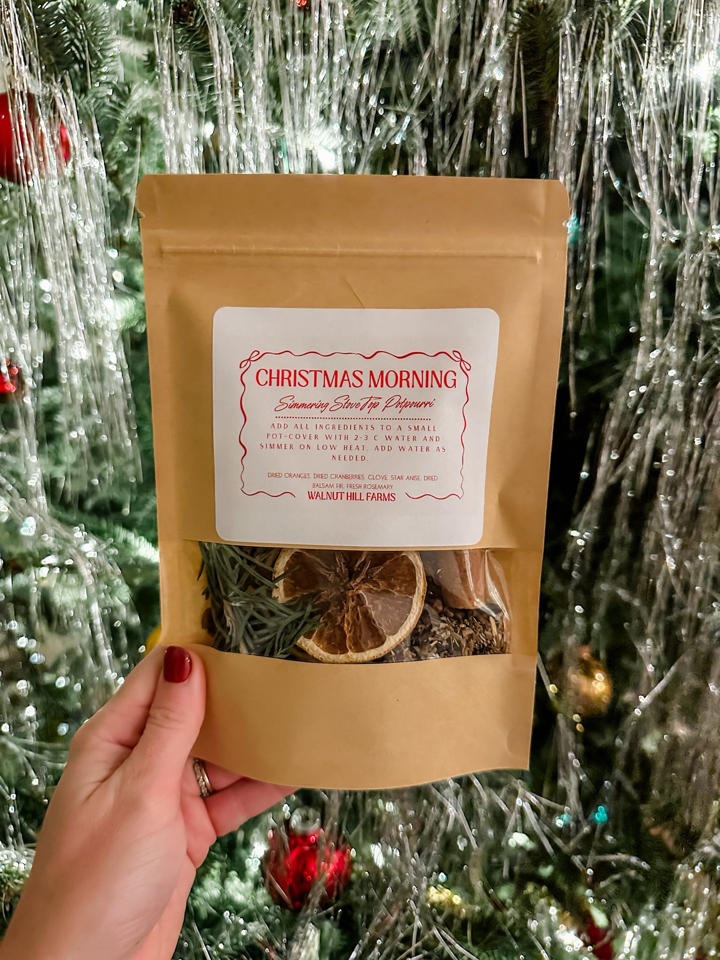 Christmas Morning Simmer Packets - READY 12/8